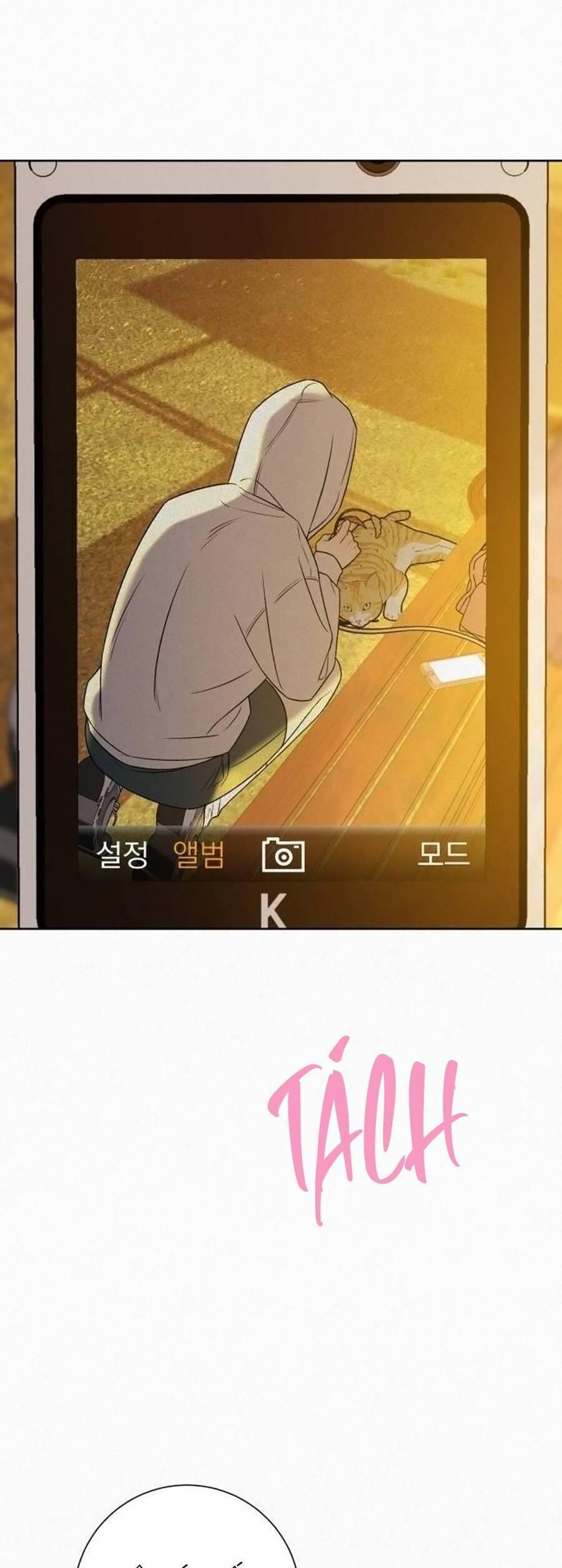 Tình Yêu Trong Sáng 