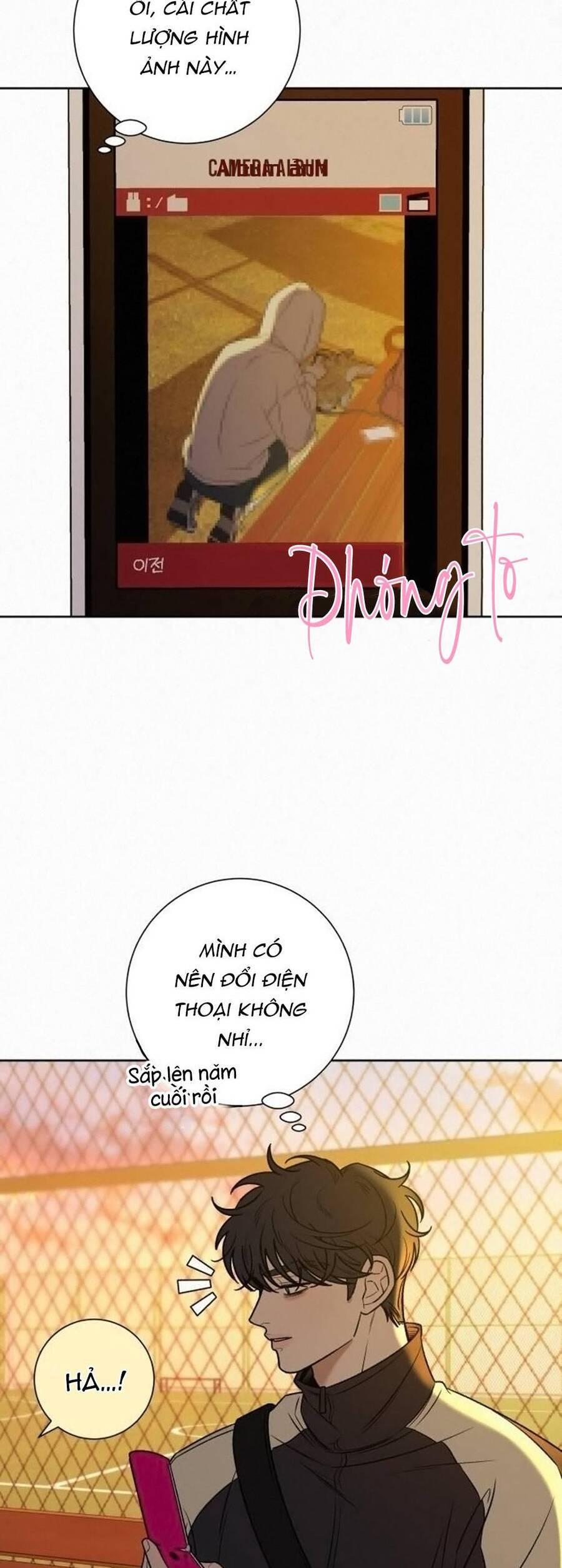 Tình Yêu Trong Sáng 