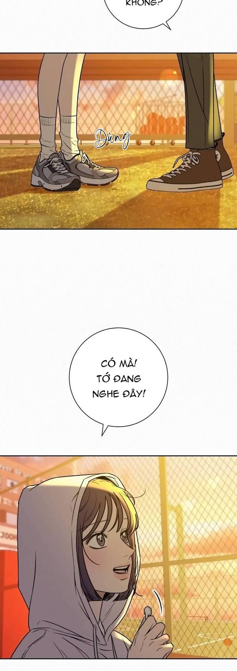 Tình Yêu Trong Sáng 