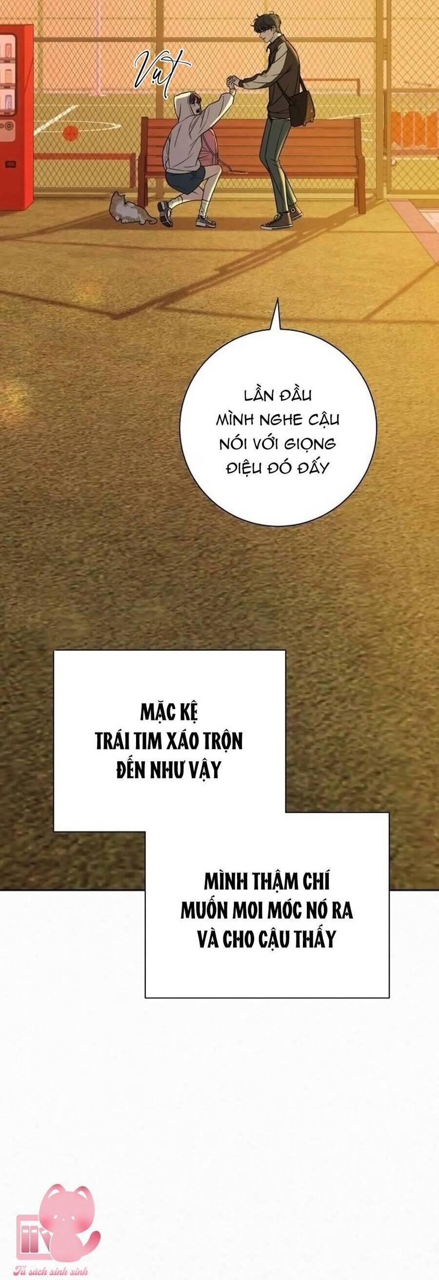Tình Yêu Trong Sáng 