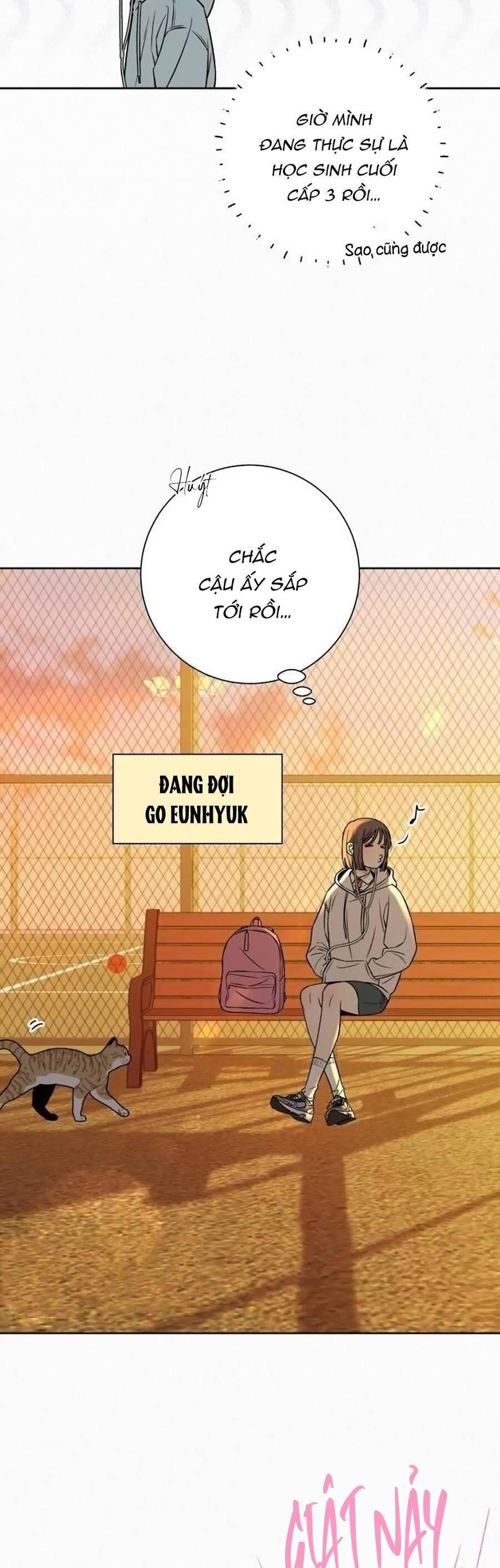 Tình Yêu Trong Sáng 