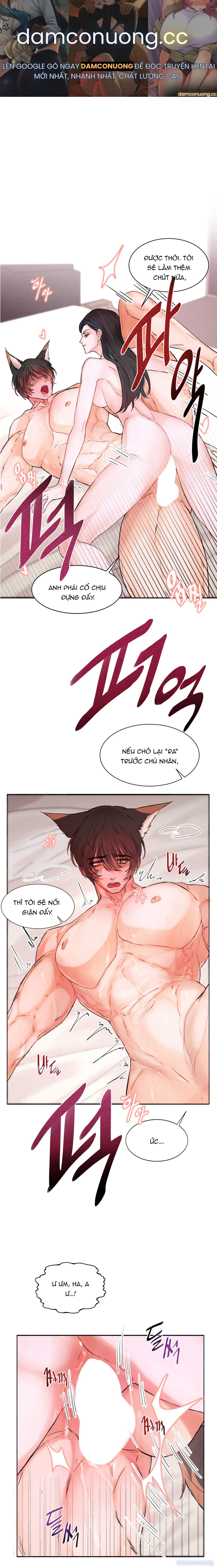 [18+] Cún Con Của Chủ Nhân 