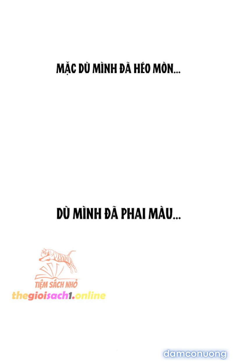 [18+] Nước Mắt Trên Đóa Hoa Tàn 
