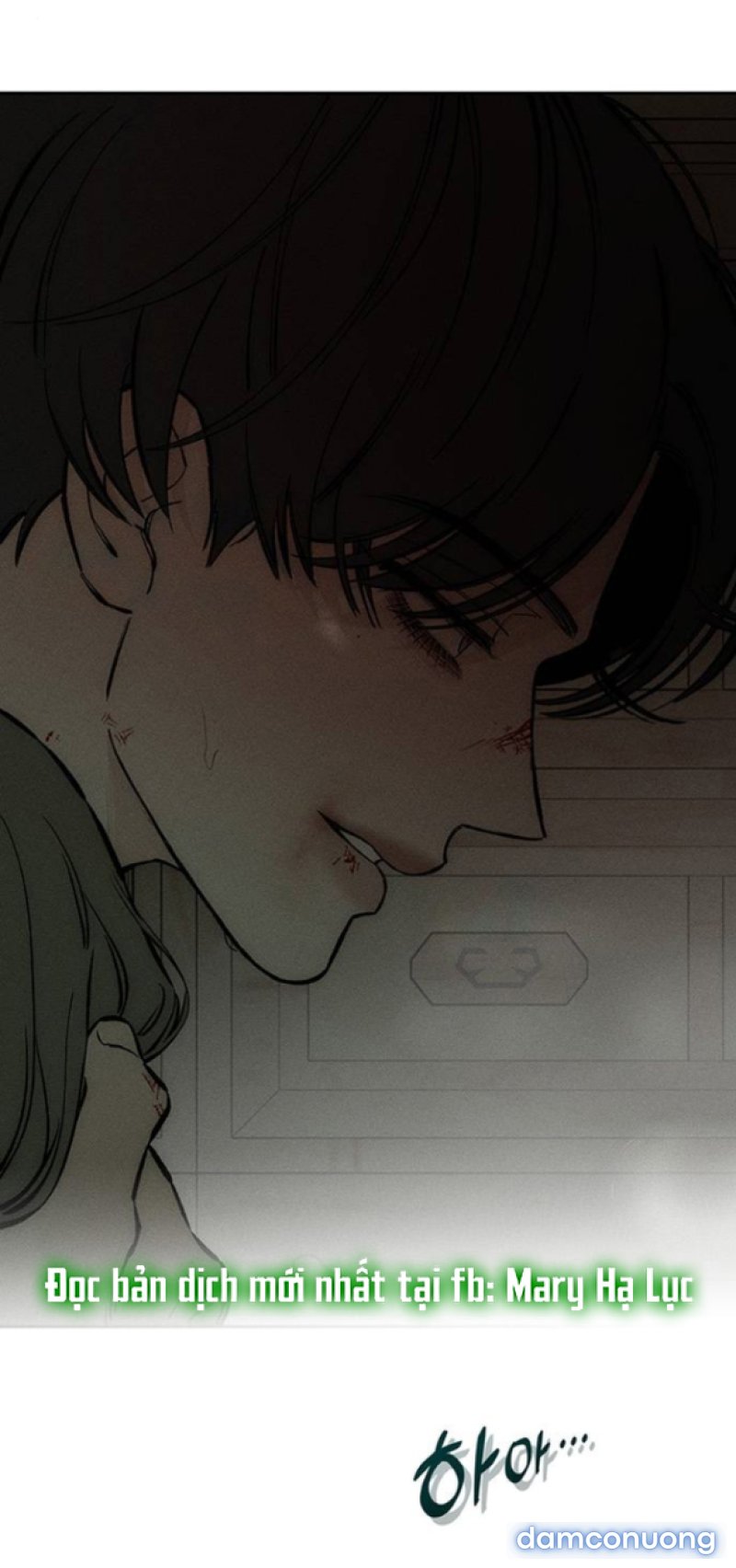 [18+] Nước Mắt Trên Đóa Hoa Tàn 