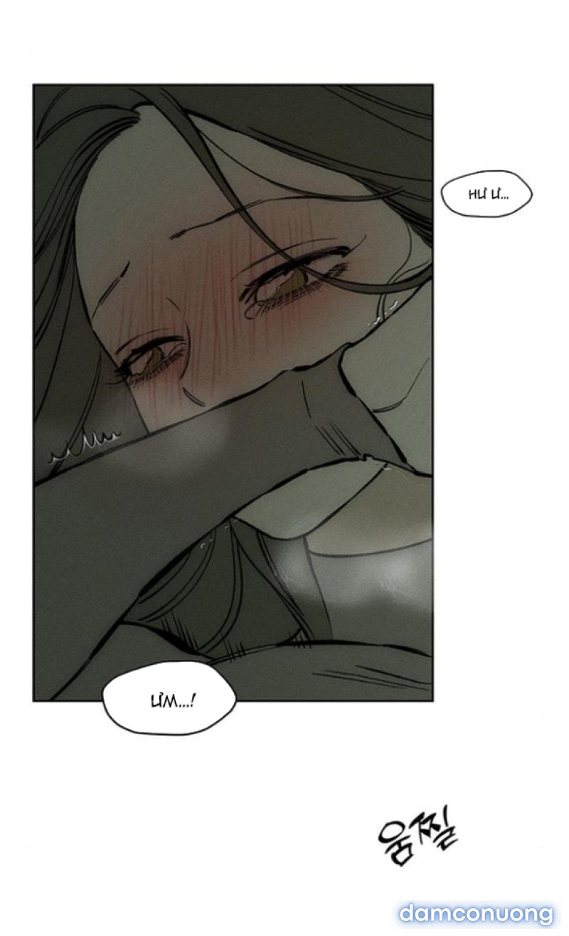 [18+] Nước Mắt Trên Đóa Hoa Tàn 
