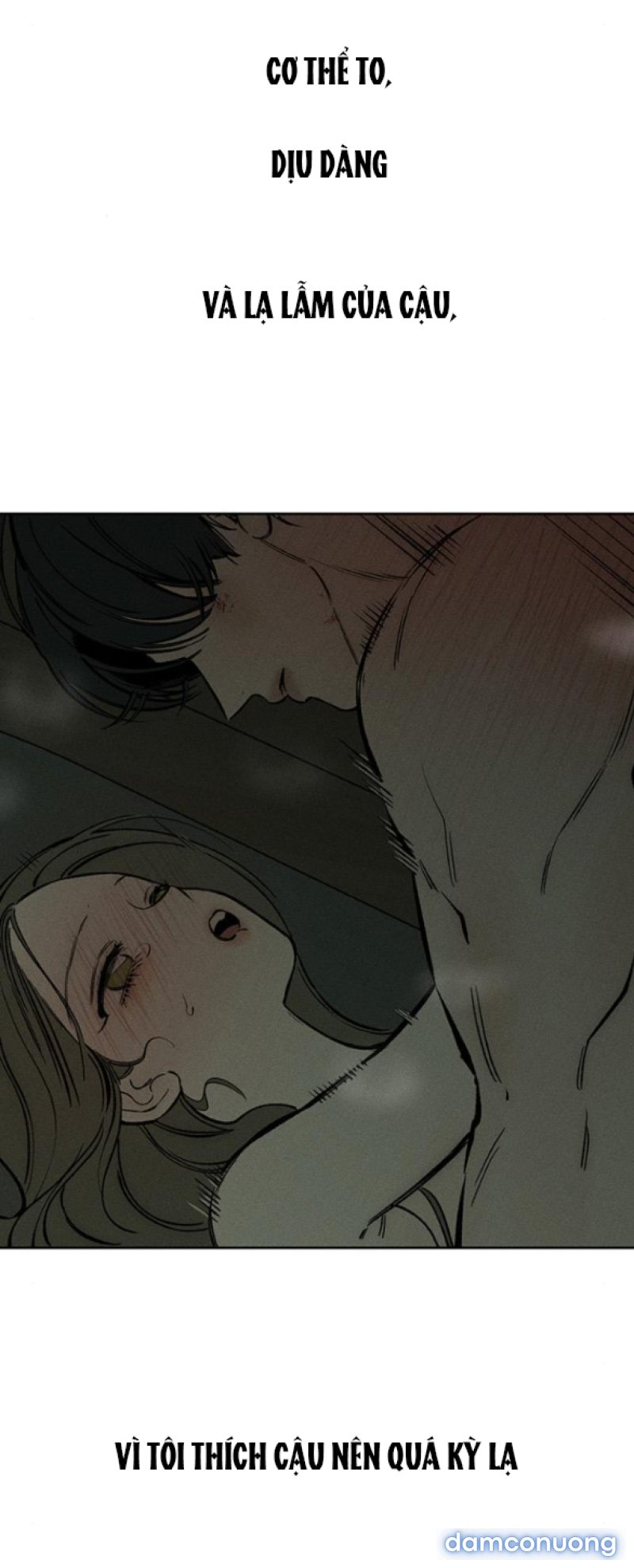 [18+] Nước Mắt Trên Đóa Hoa Tàn 
