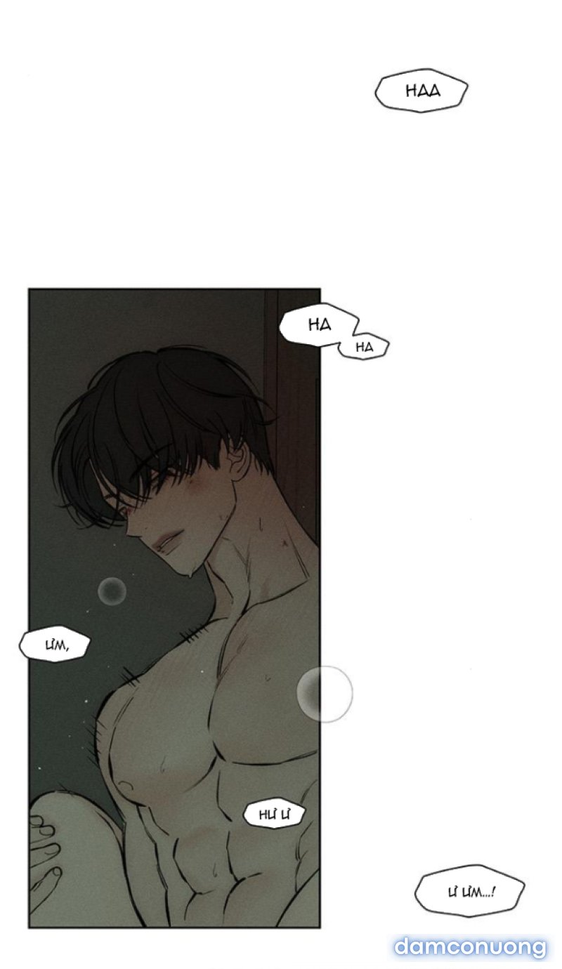 [18+] Nước Mắt Trên Đóa Hoa Tàn 