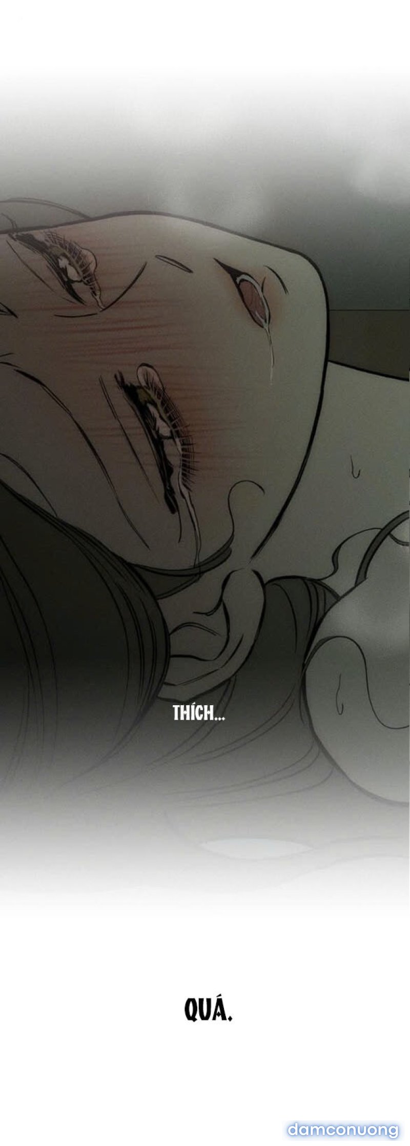 [18+] Nước Mắt Trên Đóa Hoa Tàn 