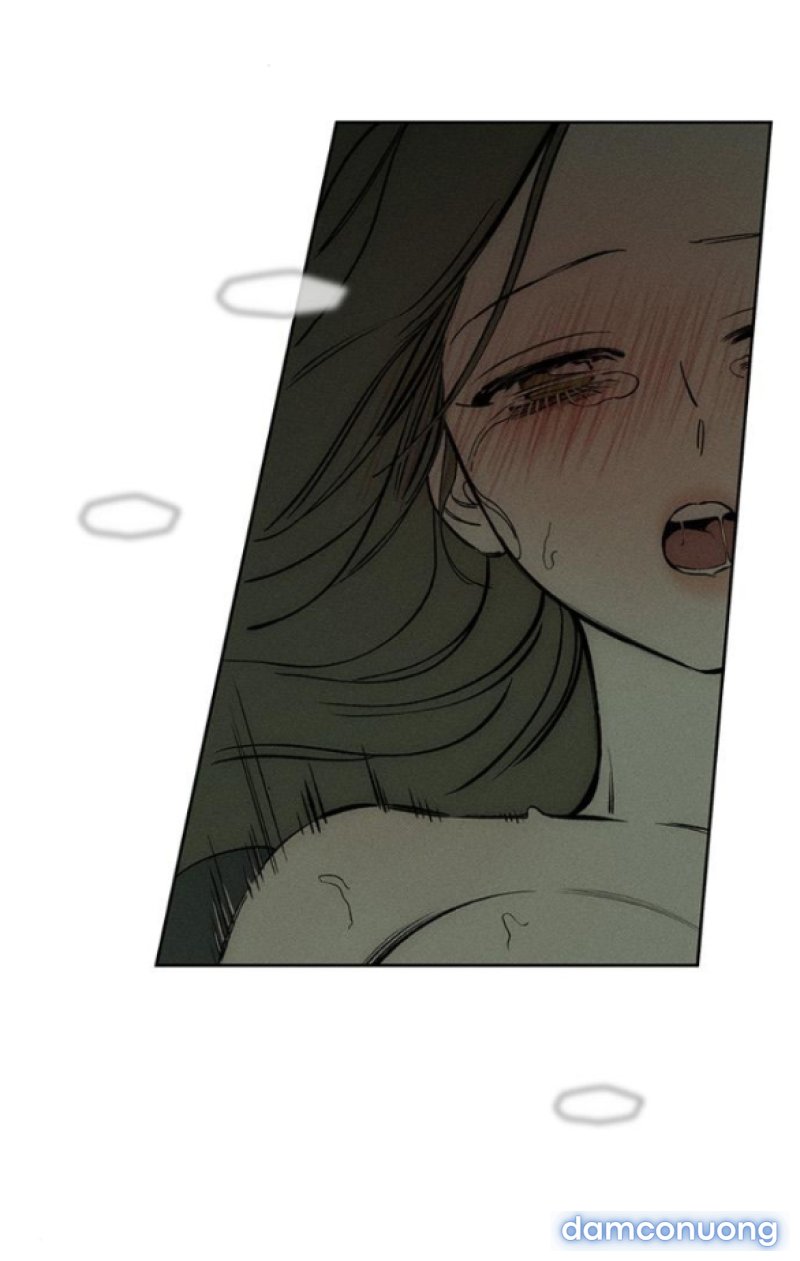 [18+] Nước Mắt Trên Đóa Hoa Tàn 