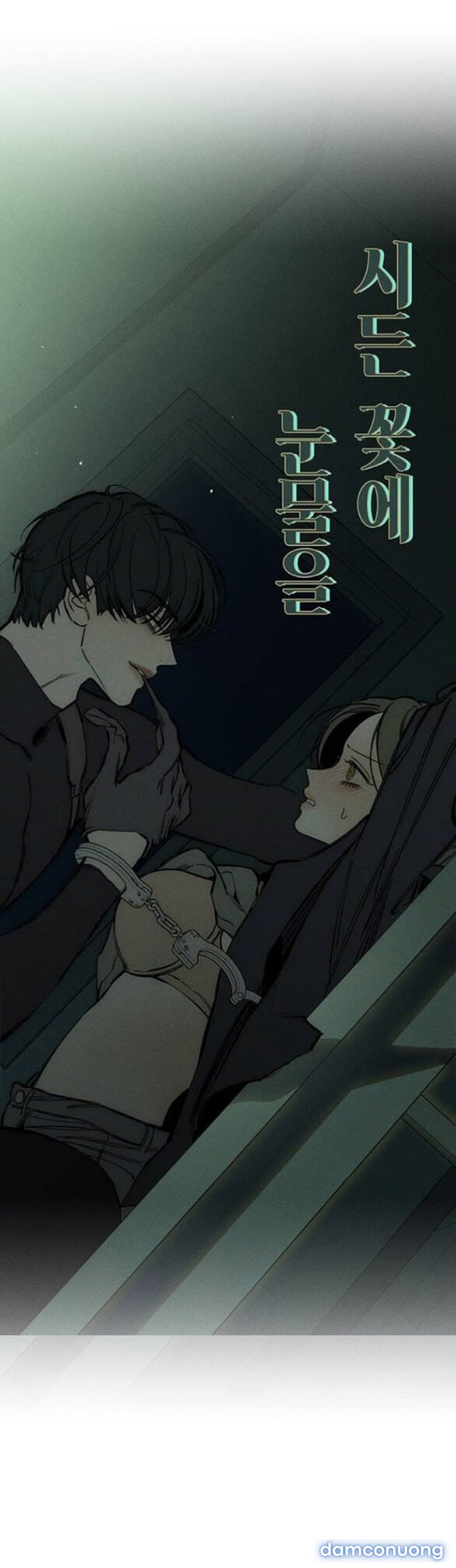 [18+] Nước Mắt Trên Đóa Hoa Tàn 