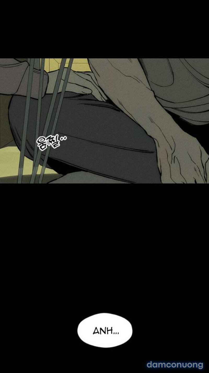 [18+] Nước Mắt Trên Đóa Hoa Tàn 