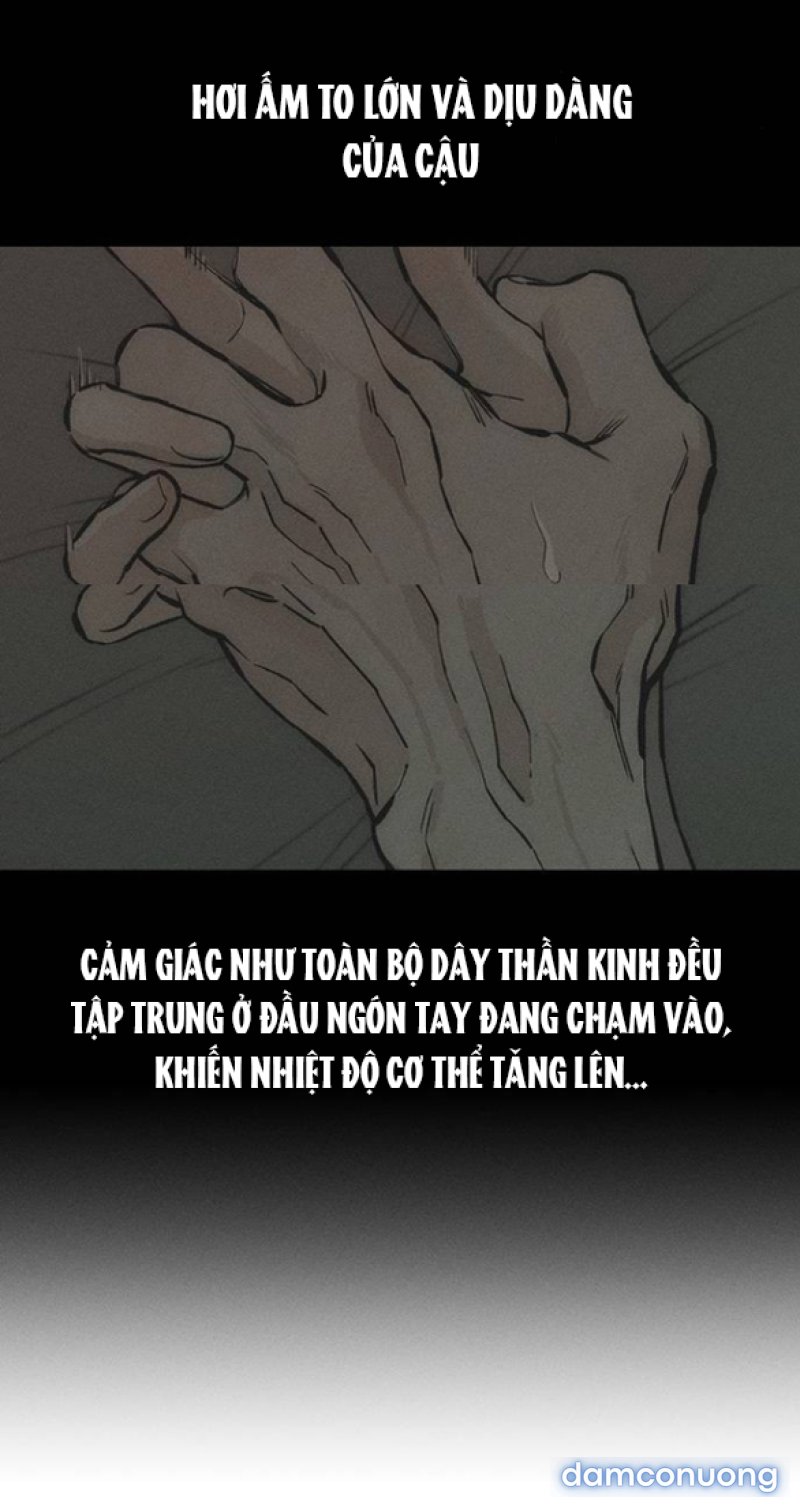[18+] Nước Mắt Trên Đóa Hoa Tàn 