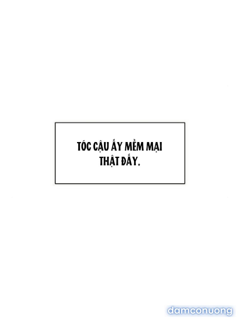 [18+] Nước Mắt Trên Đóa Hoa Tàn 
