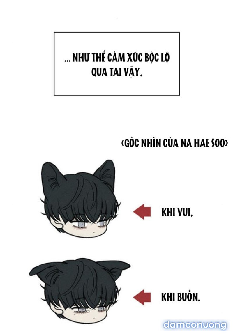 [18+] Nước Mắt Trên Đóa Hoa Tàn 