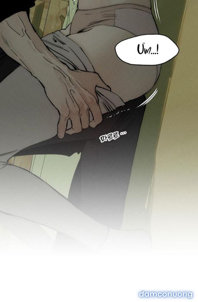 [18+] Nước Mắt Trên Đóa Hoa Tàn 