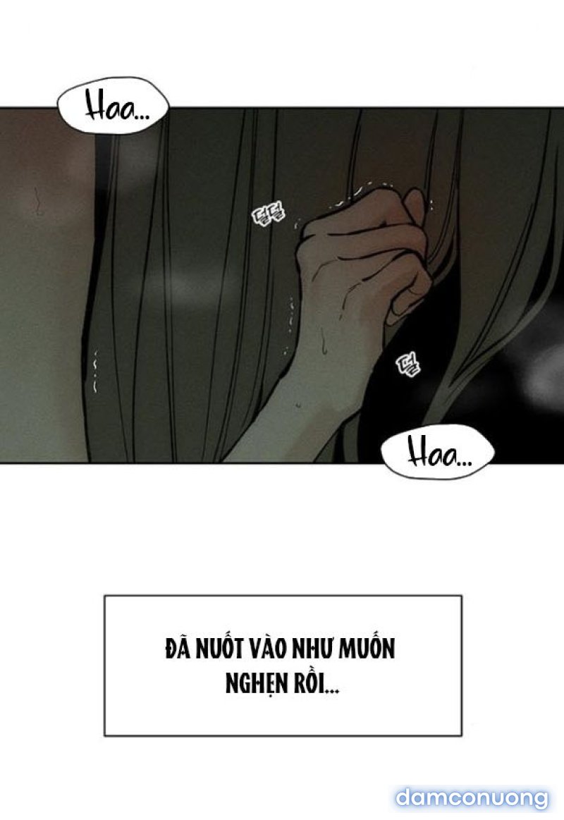 [18+] Nước Mắt Trên Đóa Hoa Tàn 