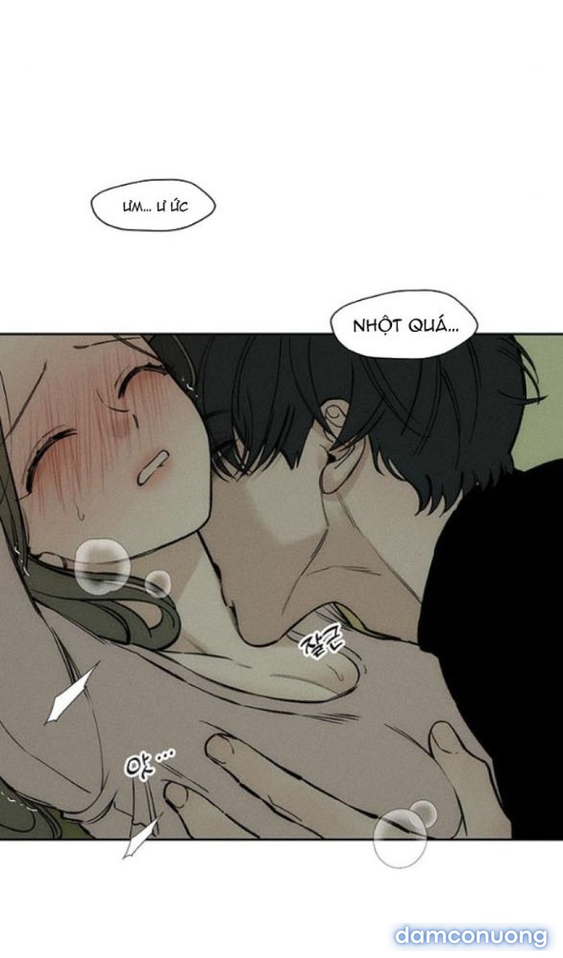 [18+] Nước Mắt Trên Đóa Hoa Tàn 