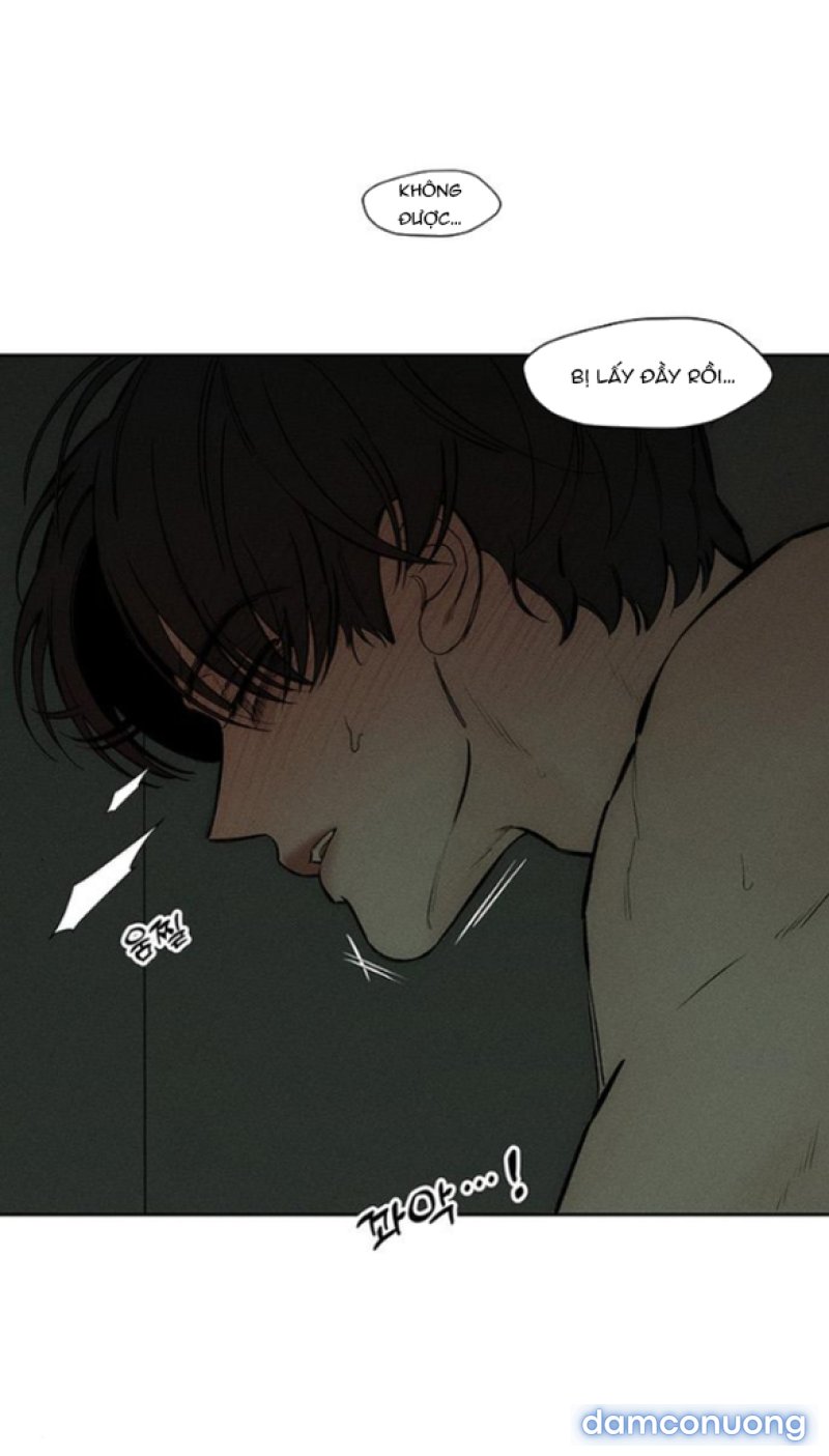 [18+] Nước Mắt Trên Đóa Hoa Tàn 