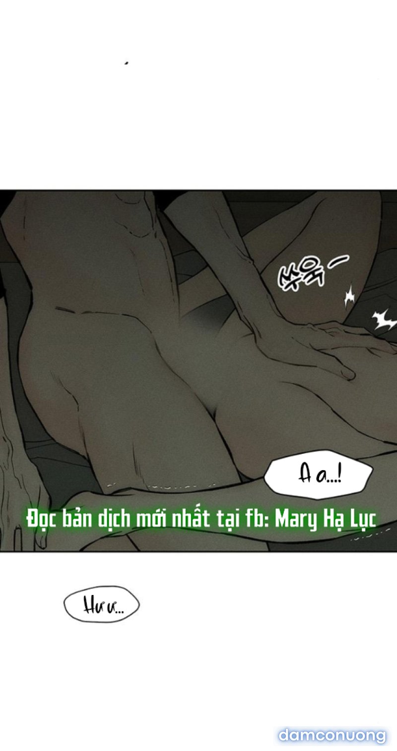 [18+] Nước Mắt Trên Đóa Hoa Tàn 