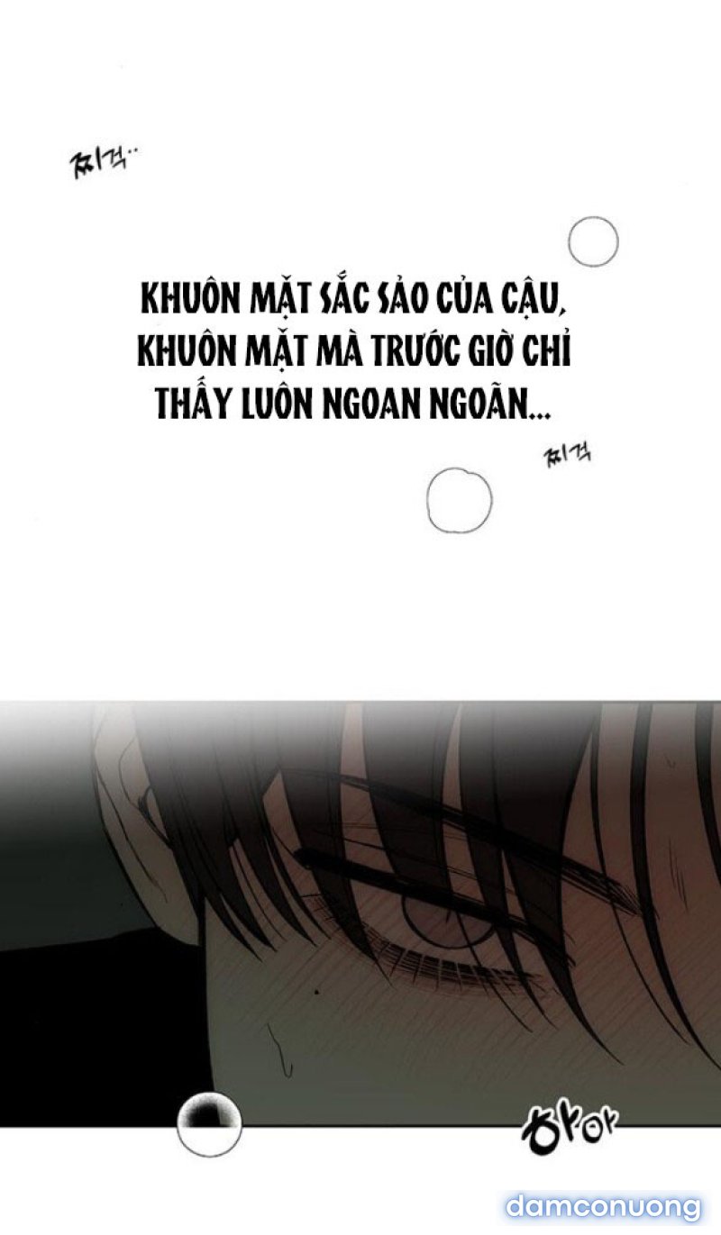 [18+] Nước Mắt Trên Đóa Hoa Tàn 
