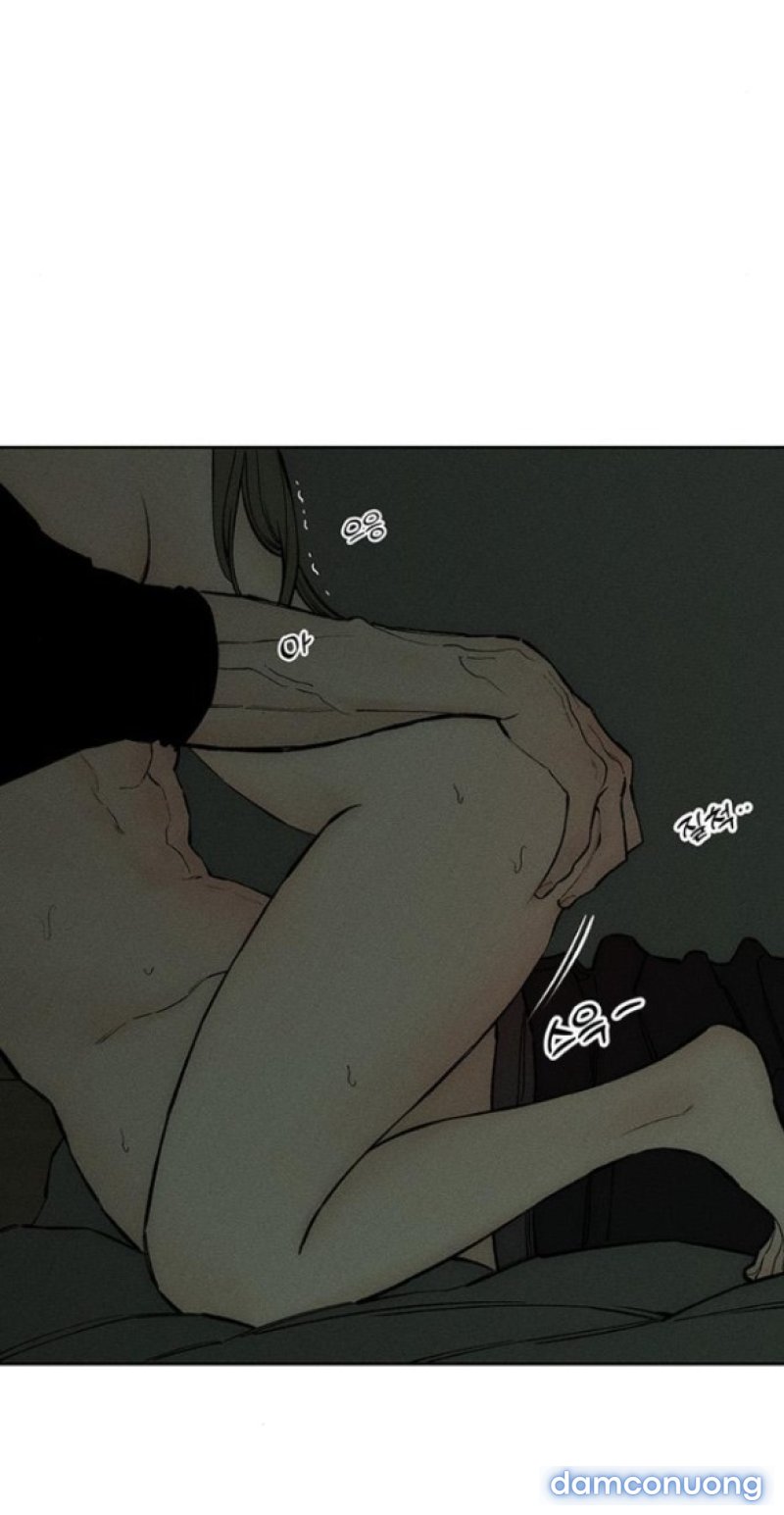[18+] Nước Mắt Trên Đóa Hoa Tàn 