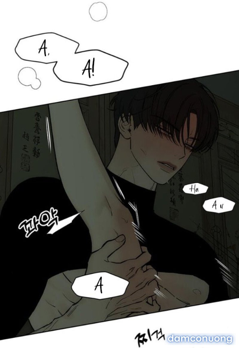 [18+] Nước Mắt Trên Đóa Hoa Tàn 