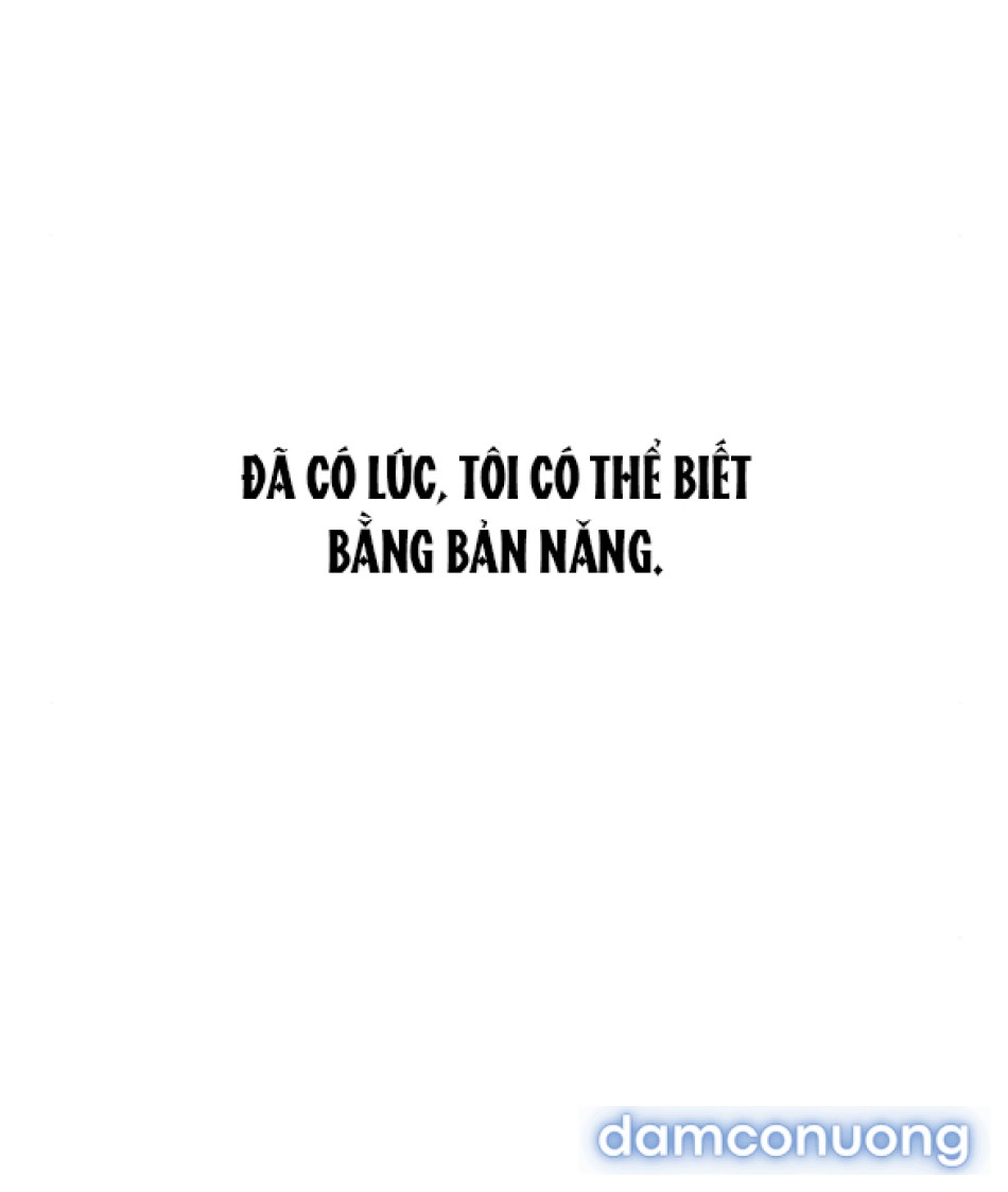[18+] Nước Mắt Trên Đóa Hoa Tàn 