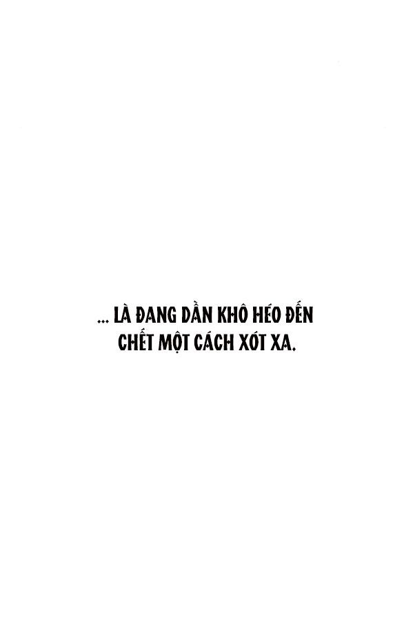 [18+] Nước Mắt Trên Đóa Hoa Tàn 