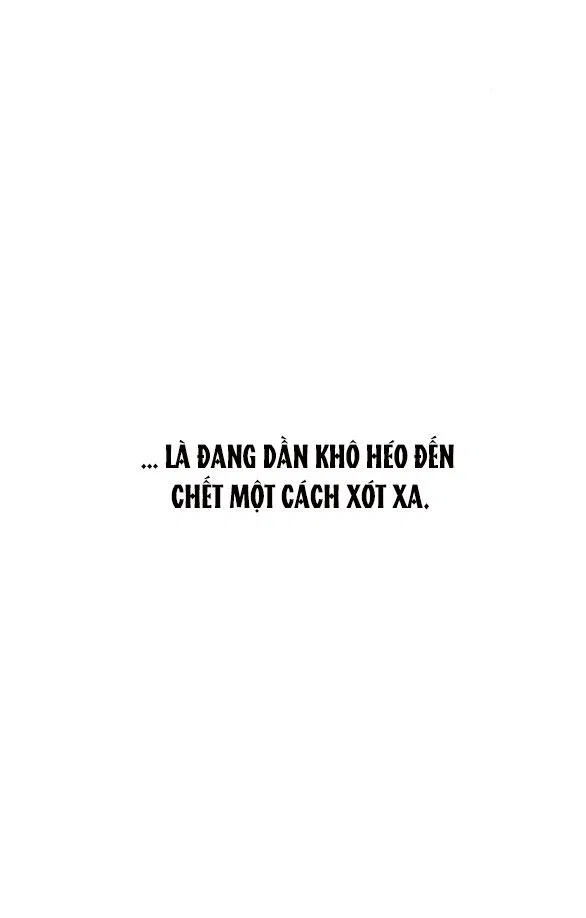 [18+] Nước Mắt Trên Đóa Hoa Tàn 