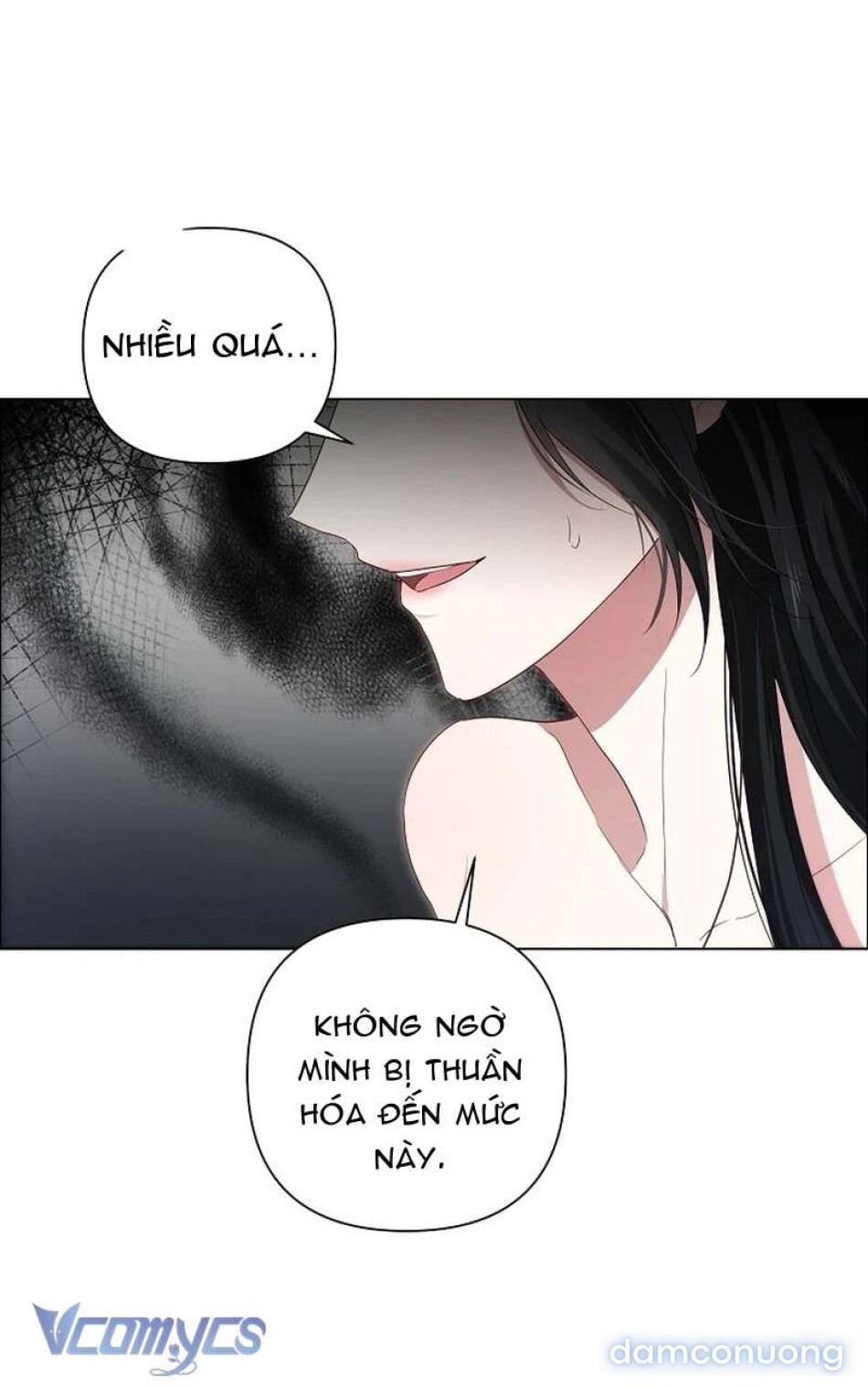 Ly Hôn Là Không Thể 