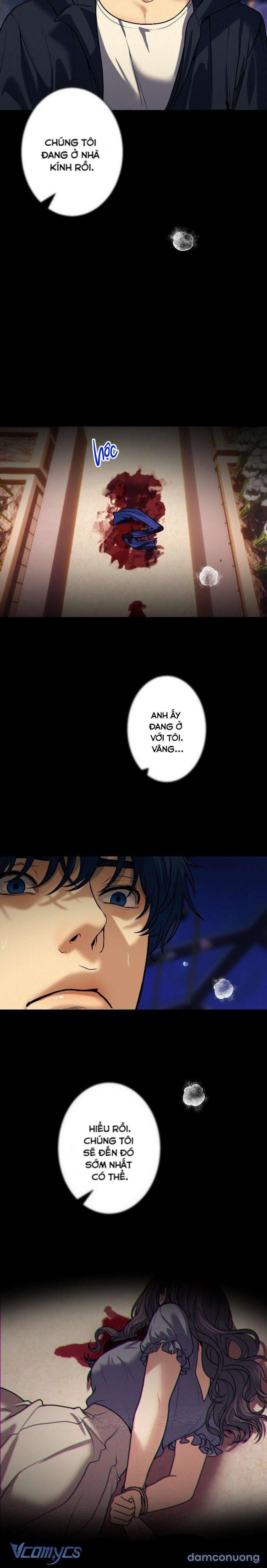 『18+』Người Yêu Tôi Là Kẻ Tâm Thần 