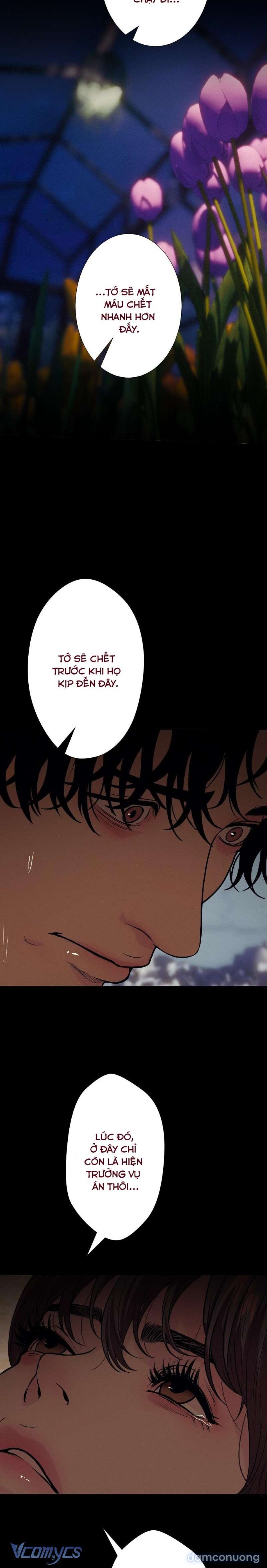 『18+』Người Yêu Tôi Là Kẻ Tâm Thần 