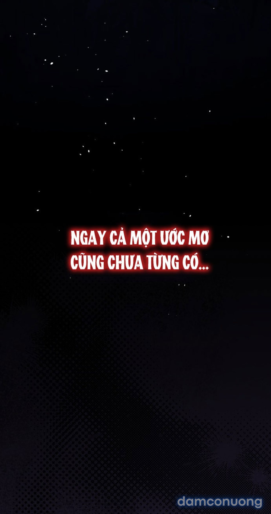 Chiếm Hữu 