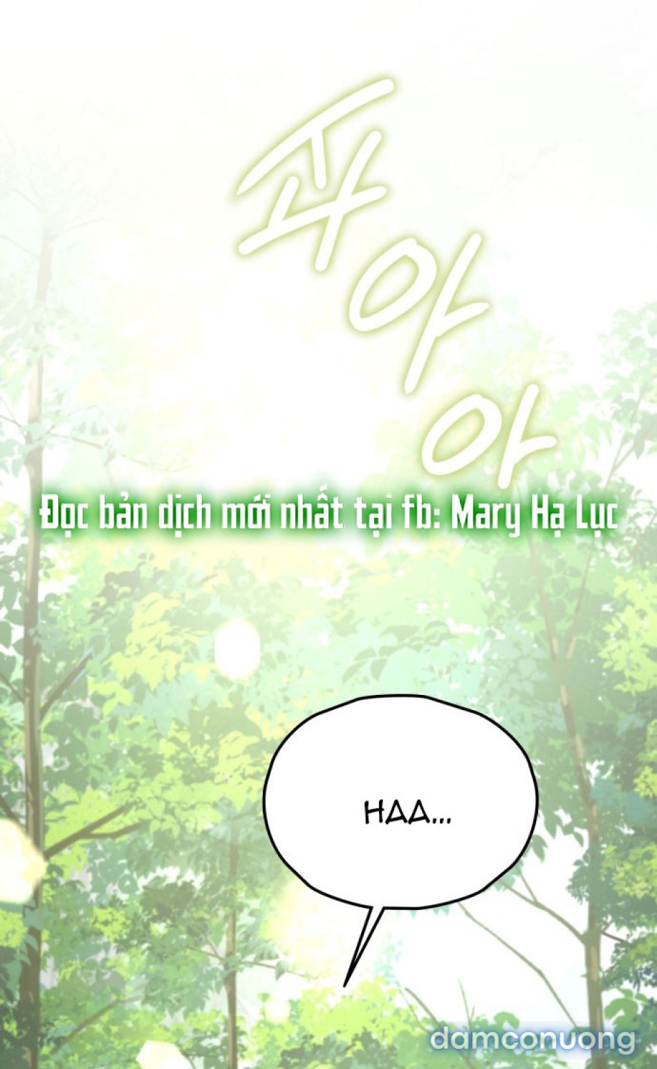 Chiếm Hữu 