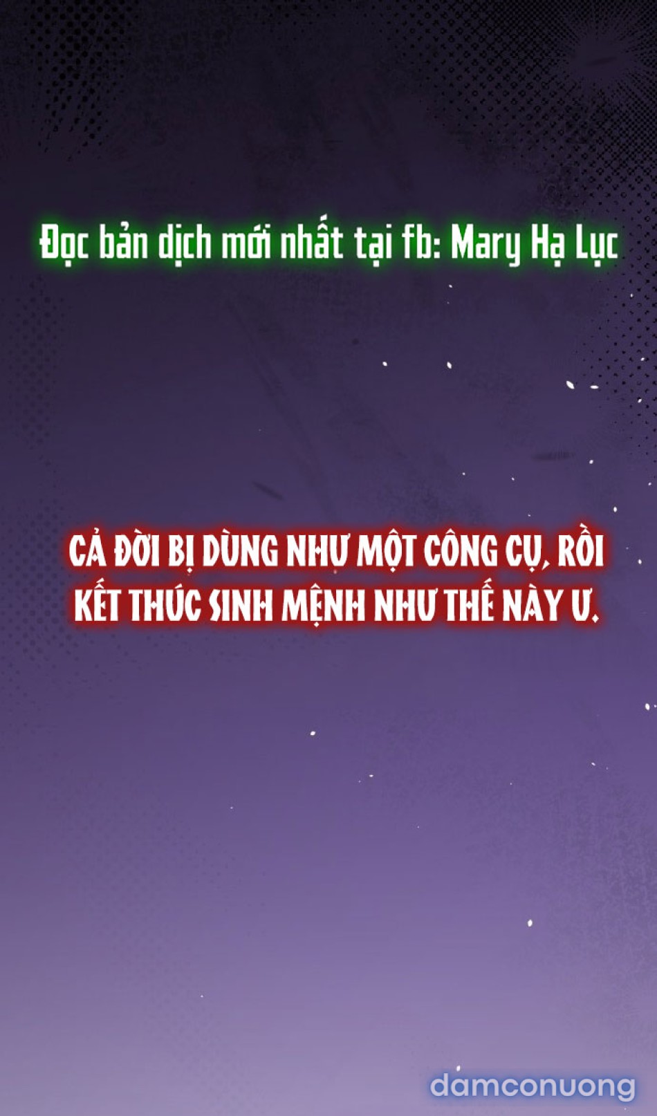 Chiếm Hữu 