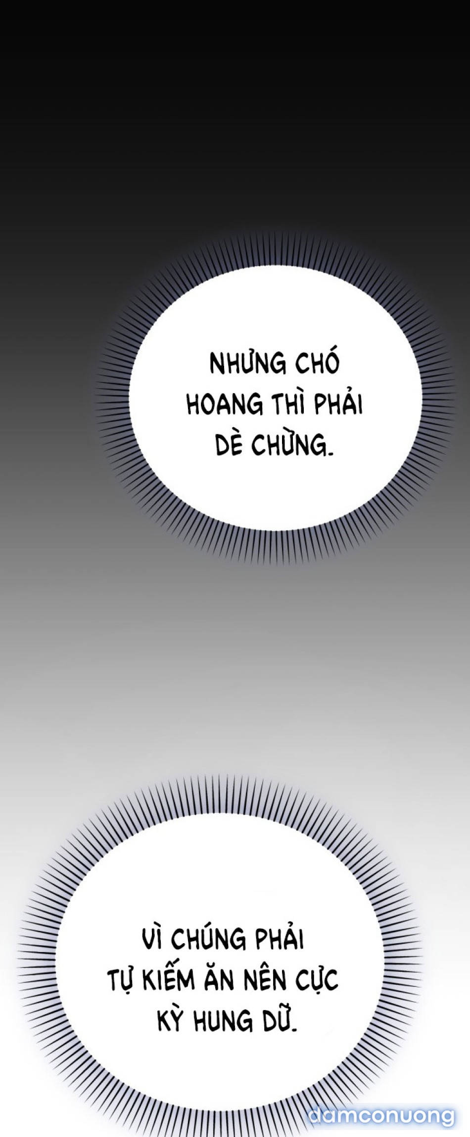 Chiếm Hữu 