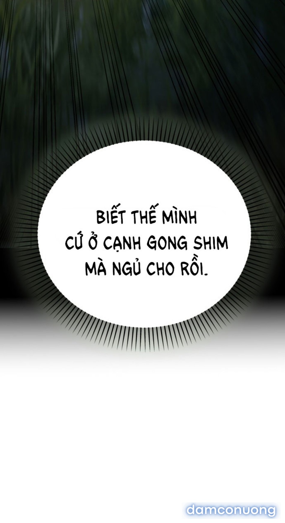 Chiếm Hữu 