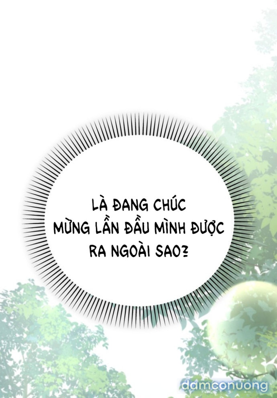 Chiếm Hữu 