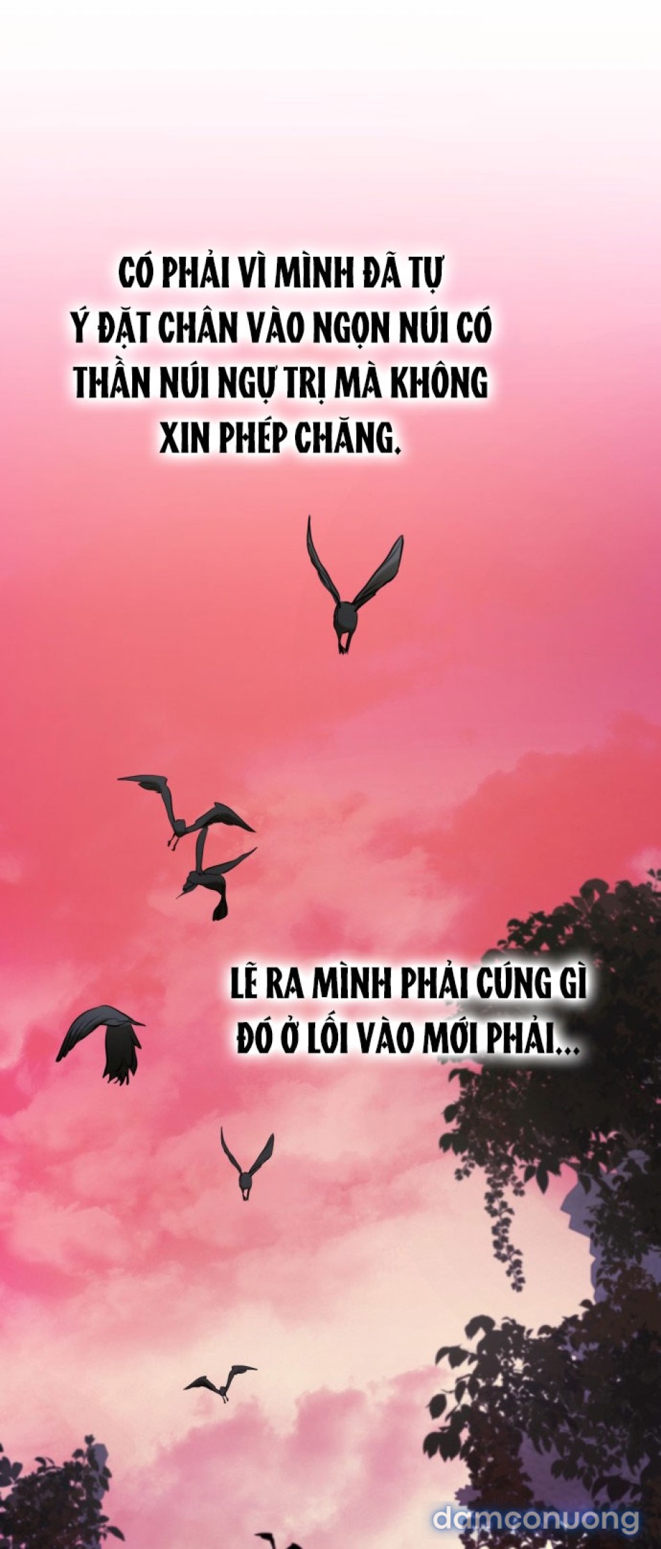 Chiếm Hữu 
