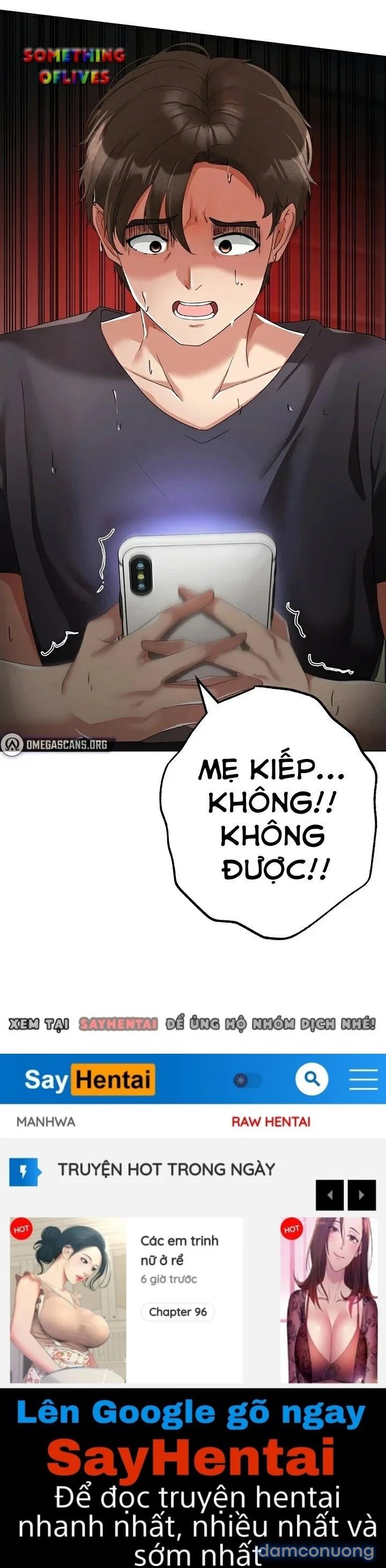 Chiếm Hữu 