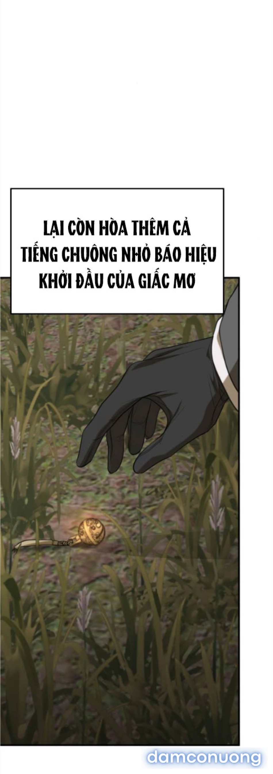 Chiếm Hữu 