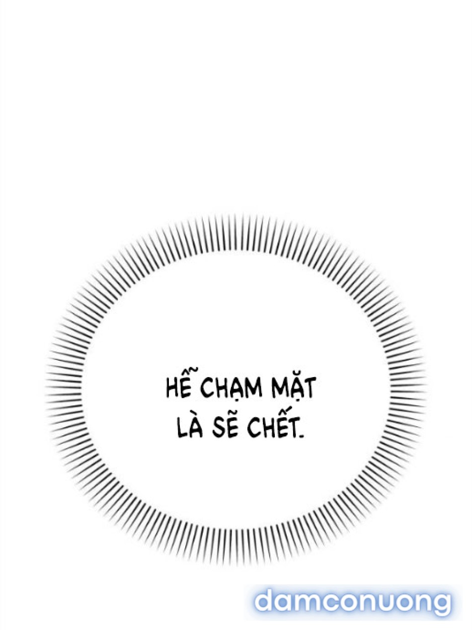Chiếm Hữu 