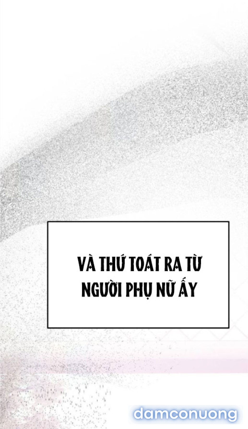 Chiếm Hữu 