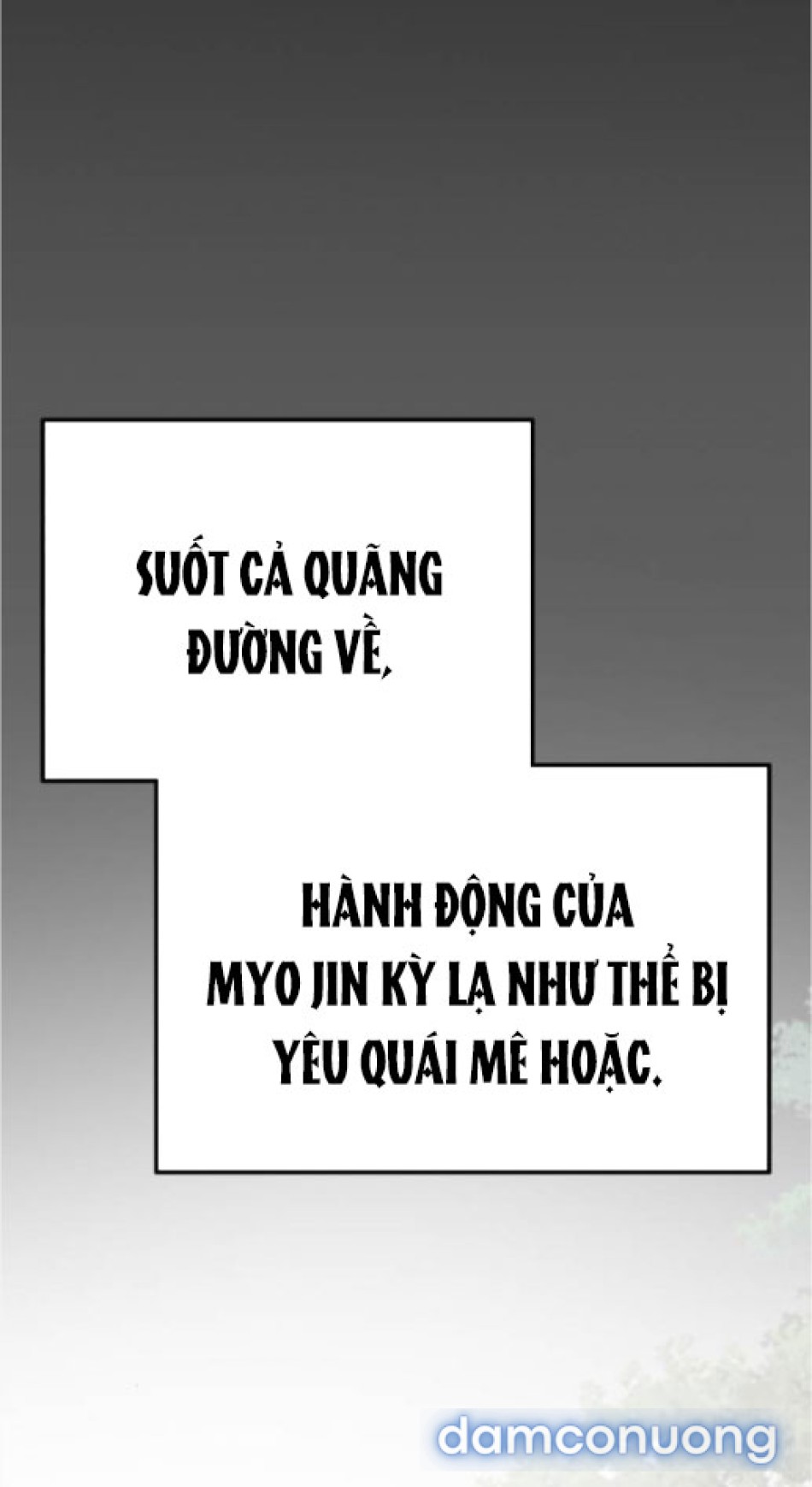 Chiếm Hữu 