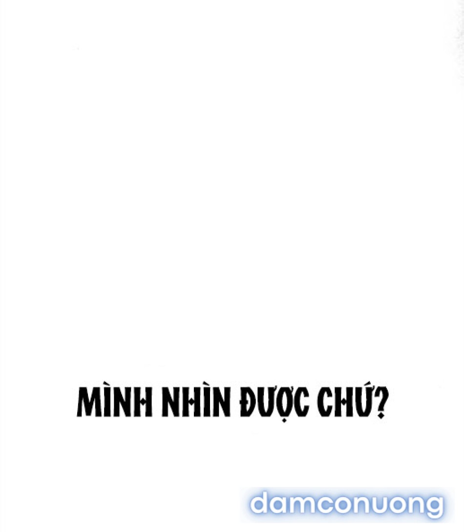 Chiếm Hữu 