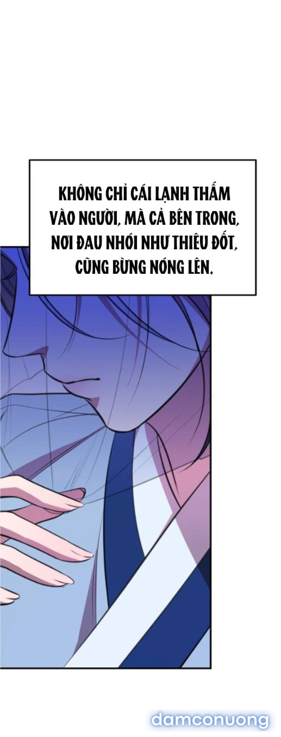 Chiếm Hữu 