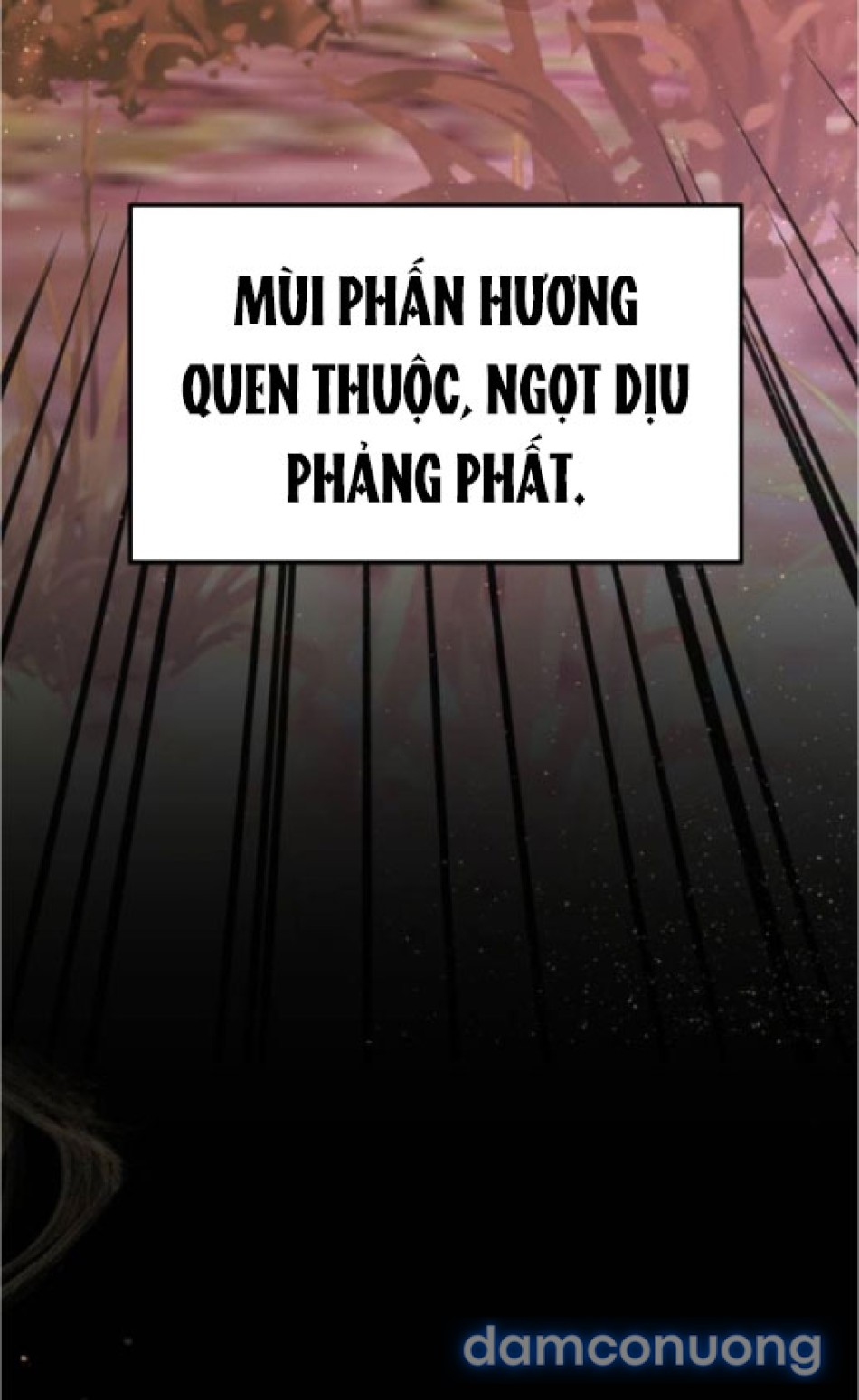 Chiếm Hữu 
