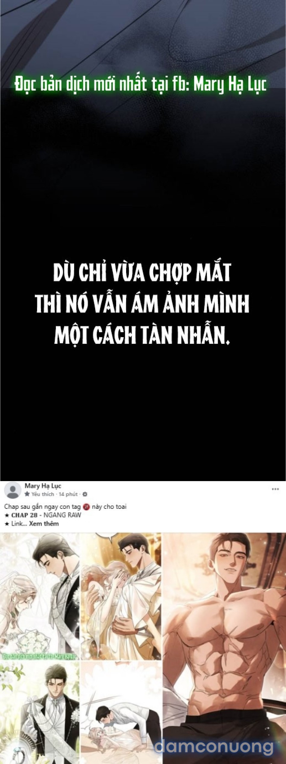 Chiếm Hữu 