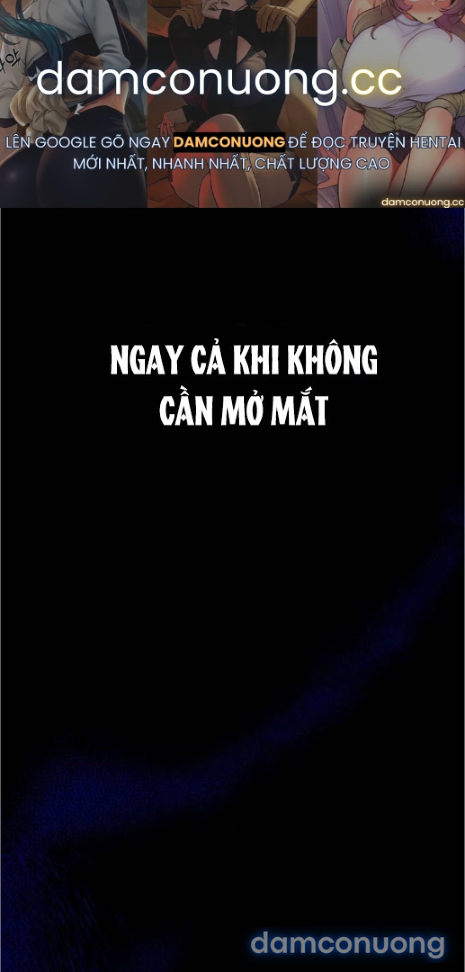Chiếm Hữu 