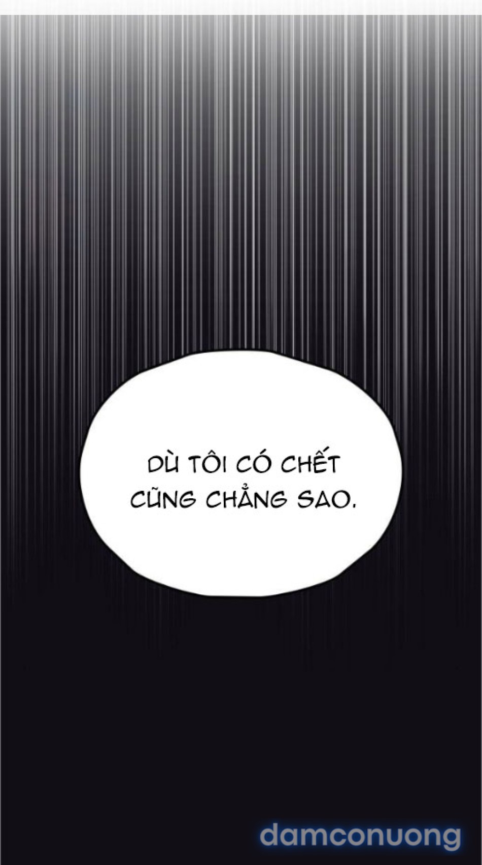 Chiếm Hữu 